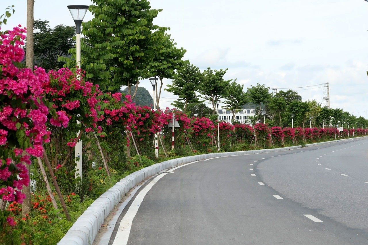 duong-bao-bien-cam-pha-ha-long